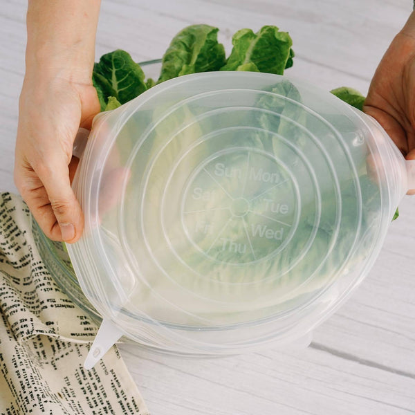 Zippies Lidz Silicone Pack of 6 - Neat Street Philippines